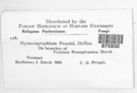 Image Associated With the Occurence